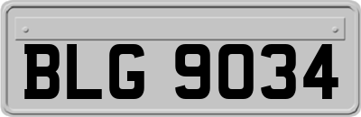 BLG9034