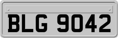 BLG9042