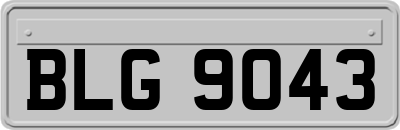 BLG9043