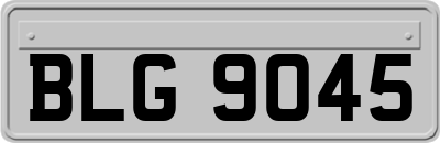 BLG9045