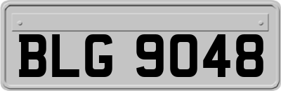 BLG9048