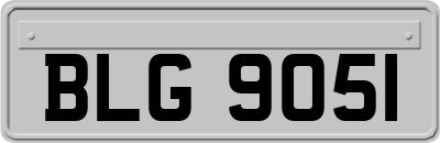 BLG9051