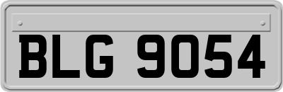 BLG9054