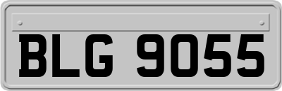 BLG9055