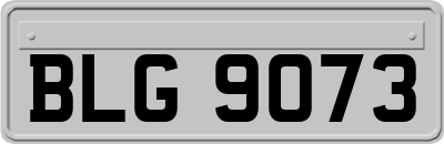 BLG9073