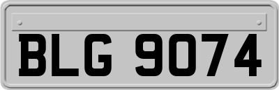 BLG9074