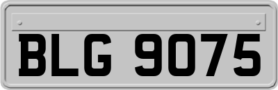 BLG9075