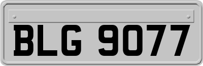 BLG9077