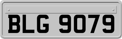 BLG9079