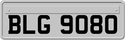 BLG9080