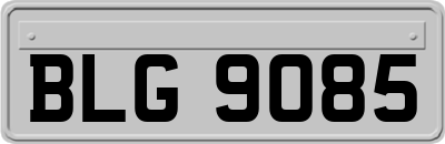 BLG9085