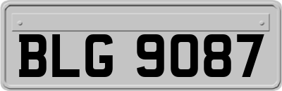 BLG9087