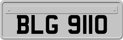 BLG9110