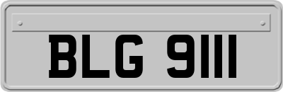BLG9111