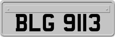 BLG9113