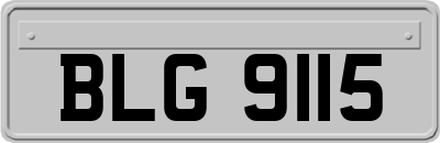 BLG9115