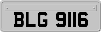 BLG9116