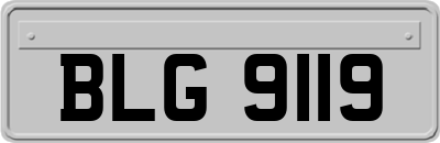 BLG9119