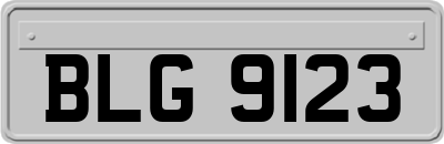 BLG9123