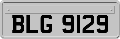 BLG9129