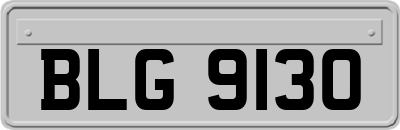 BLG9130