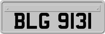 BLG9131