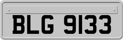 BLG9133