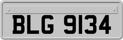 BLG9134