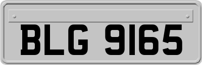 BLG9165
