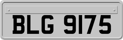 BLG9175