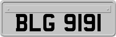 BLG9191