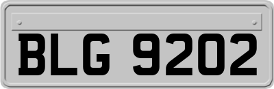BLG9202