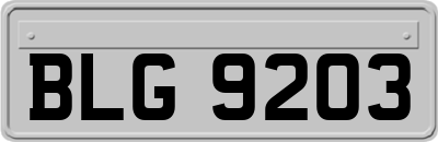 BLG9203