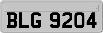 BLG9204