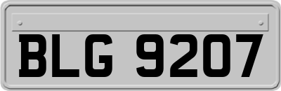 BLG9207