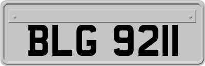 BLG9211
