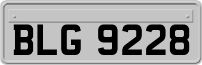 BLG9228