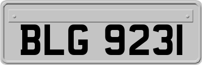 BLG9231