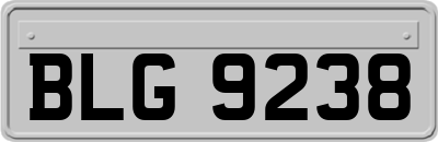 BLG9238