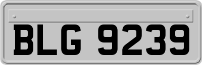 BLG9239