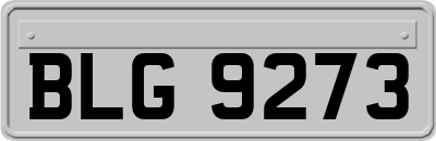 BLG9273