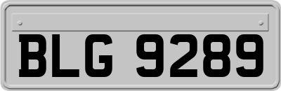 BLG9289