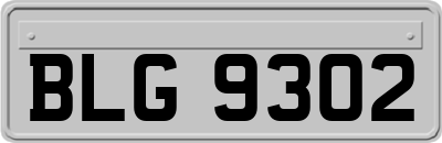 BLG9302