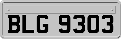 BLG9303