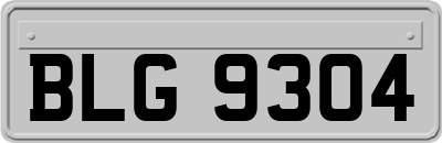 BLG9304
