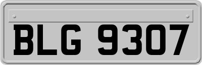 BLG9307
