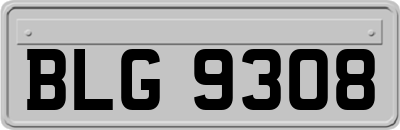BLG9308