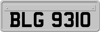 BLG9310
