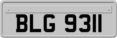 BLG9311