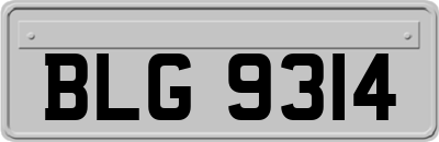 BLG9314